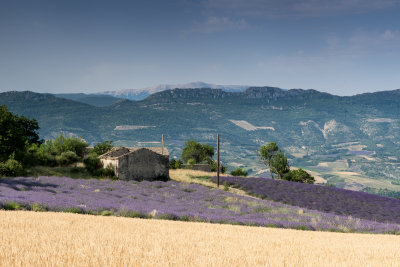 With Ventoux in the background