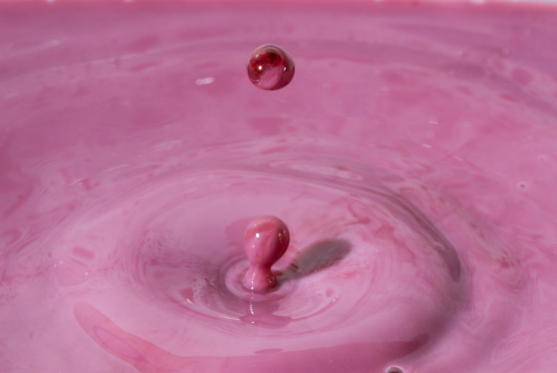 Milk Drops