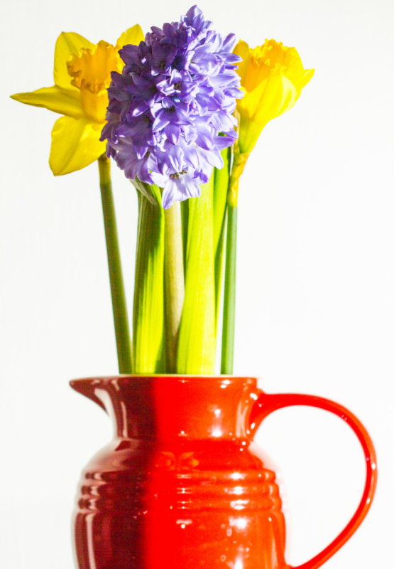 Daffs and Hyacinths