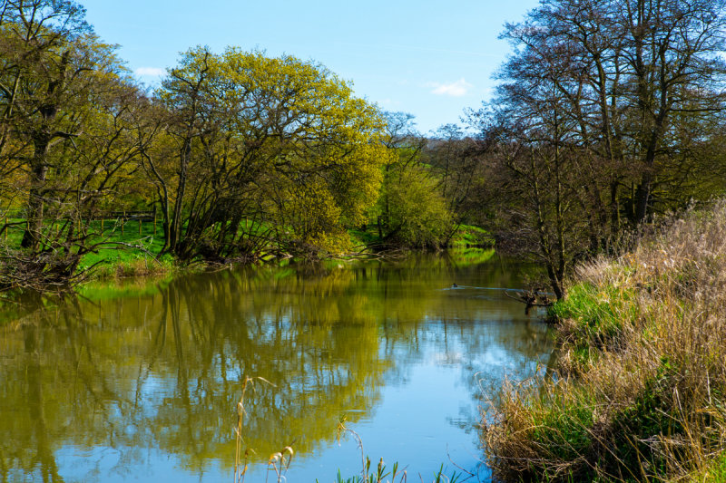 River Derwent