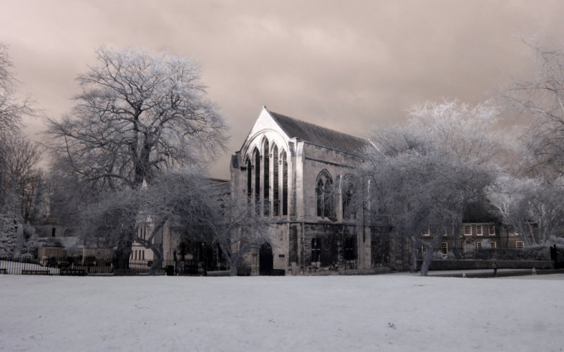 Minster Gardens