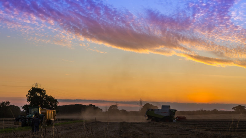 Harvesting