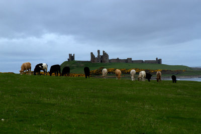 Dunstanburgh Castle