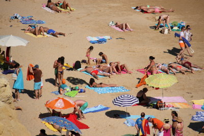 Busy Beach Scene