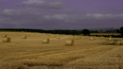 Bales