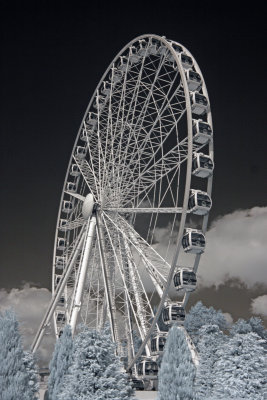 The York Wheel