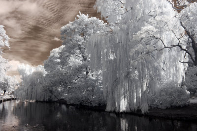 River Foss