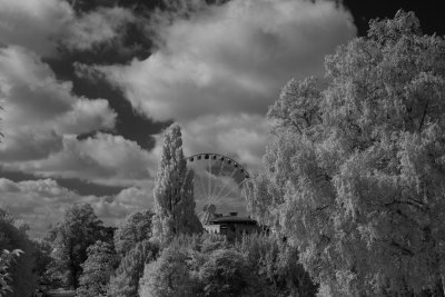 The York Wheel