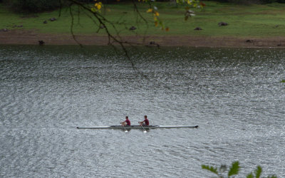 Rowers