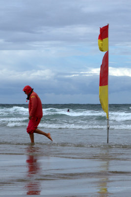 Lifeguard 