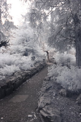 Path