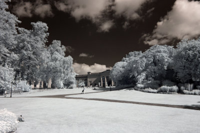 Museum Gardens