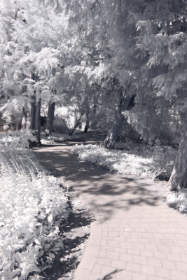 Path
