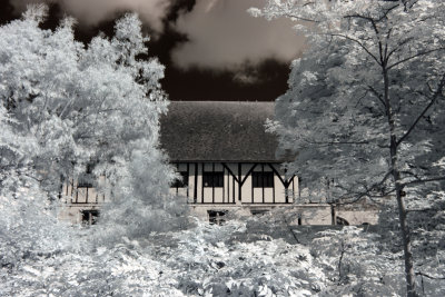 The Hospitium