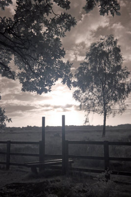 Strensall Common