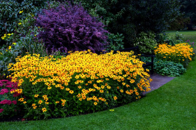 Flower Beds And Bench