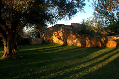 Morning Light and Shadows