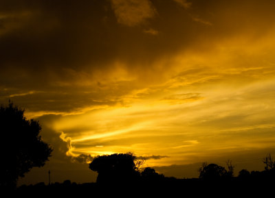Tonights Sky