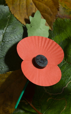 Remembrance Sunday