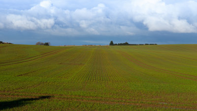 Lines