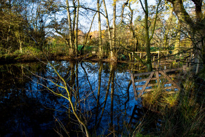 Strensall Common Pond