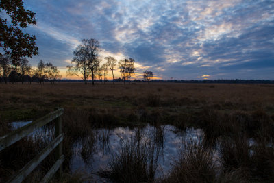 Strensall Common
