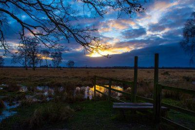 Strensall Common