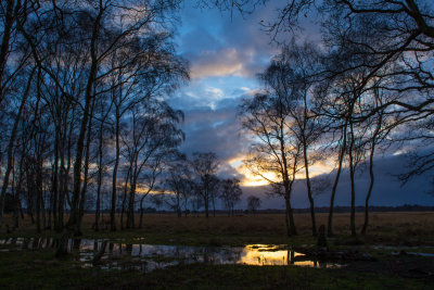 Strensall Common