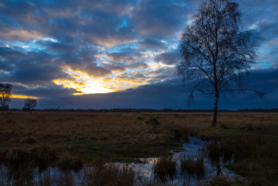 Strensall Common Sunset