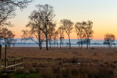 Fog Forming 2