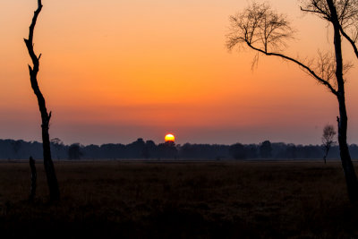 Strensall Common Sunset