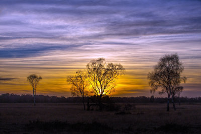 Strensall Common Sunset