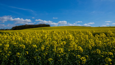 Howardian Hills
