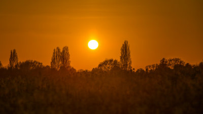Sunset Over Rapeseed
