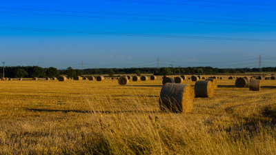 Bales