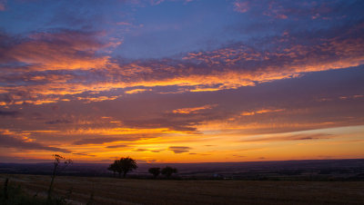 The Yorkshire Wolds