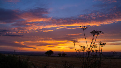 The Yorkshire Wolds