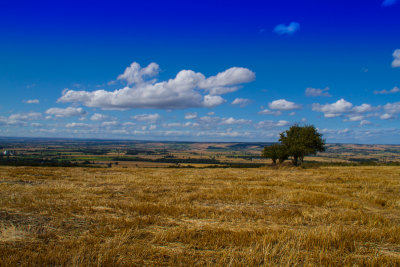 The Yorkshire Wolds