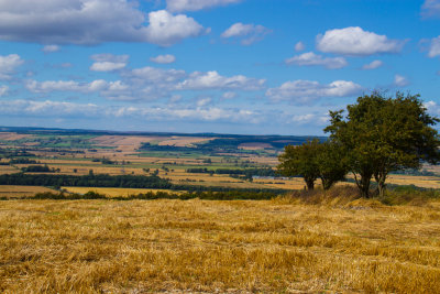 The Yorkshire Wolds