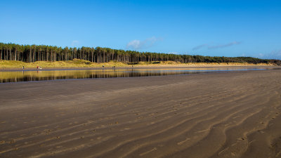 Newborough Warren