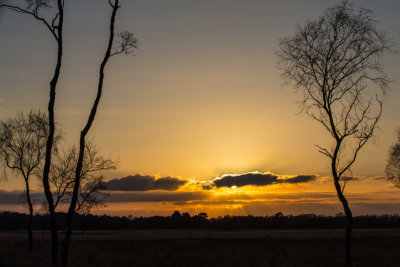 Strensall Common Sunset