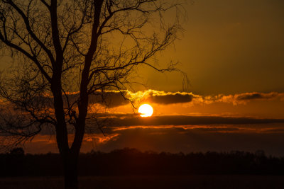 Strensall Common Sunset