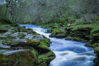 The Strid
