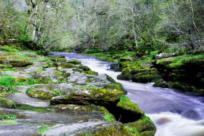 The Strid