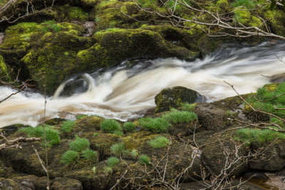 The Strid