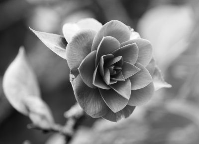 g9/21/842821/3/160066521.8jmv1D7y.jpg