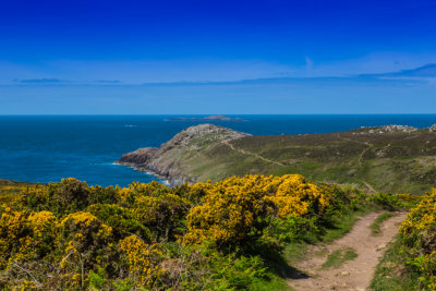 St Davids Head