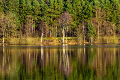 Reflections