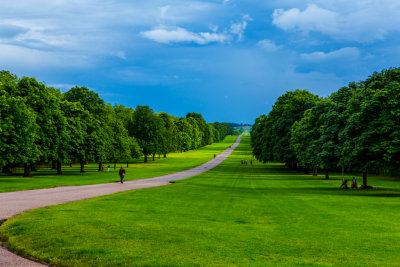 Windsor Great Park