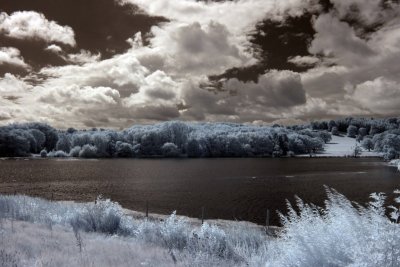 Harewood House Lake